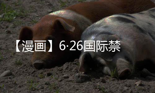 【漫画】6·26国际禁毒日｜抵制毒品，从我做起