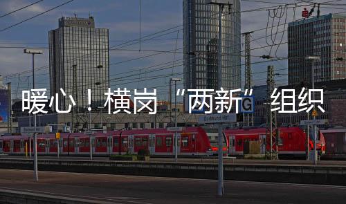 暖心！横岗“两新”组织党组织捐赠爱心物资，助力疫情防控