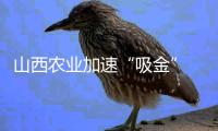 山西农业加速“吸金” 非传统产业投资较快增长